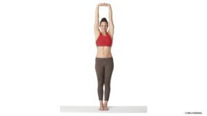 Top 10 Yoga Poses for a Beginner